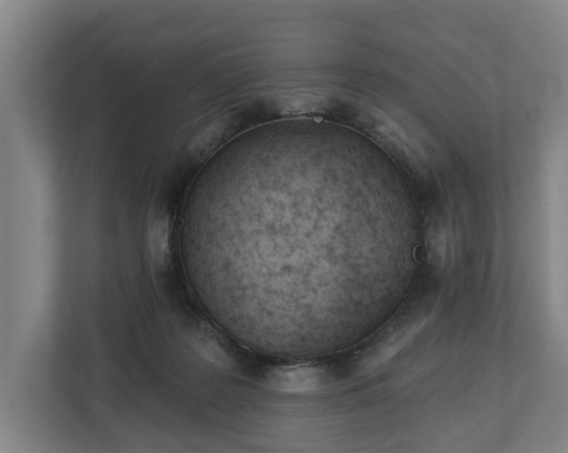 X0000113100219200909041232