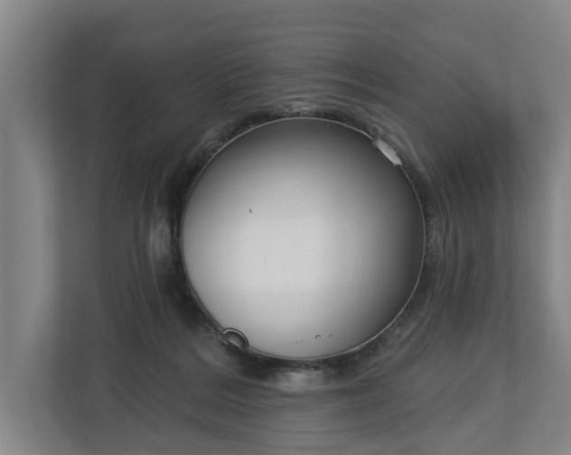 X0000113100220200909041232