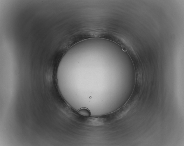 X0000113100221200909041232