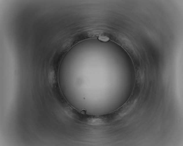 X0000113100224200909041232