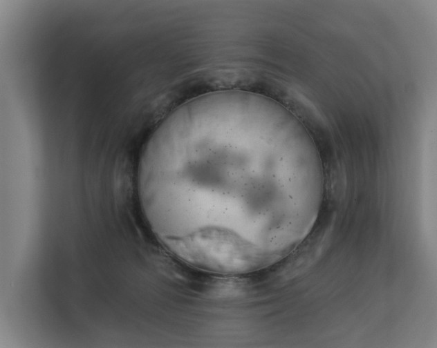 X0000113100226200909041232