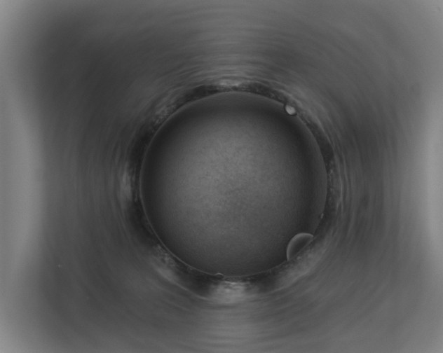 X0000113100227200909041232