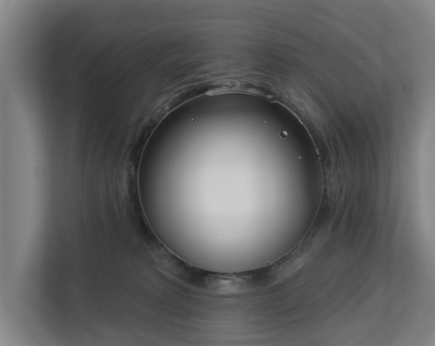 X0000113100229200909041232