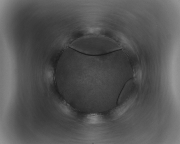 X0000113100231200909041232