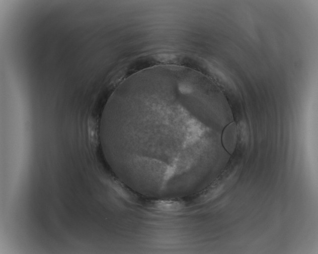 X0000113100234200909041232