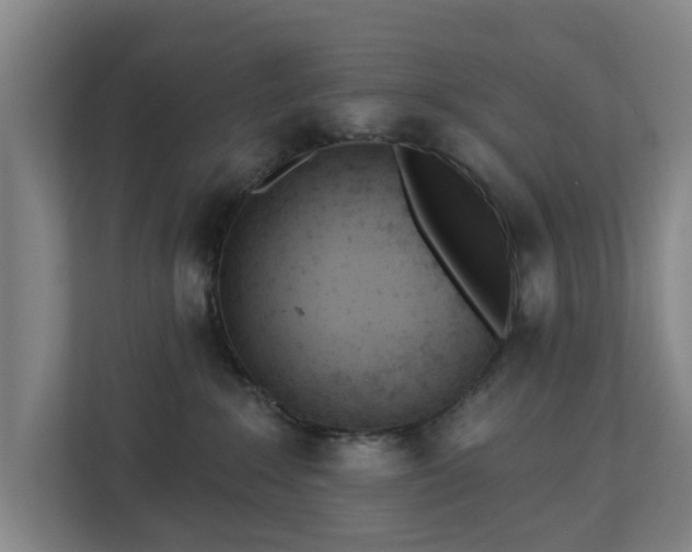 X0000113100235200909041232