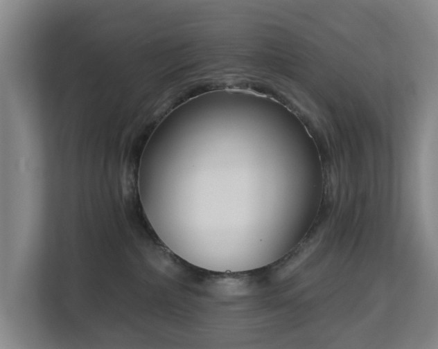 X0000113100236200909041232