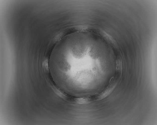 X0000113100238200909041232