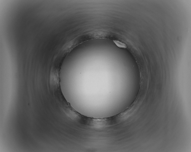 X0000113100240200909041232
