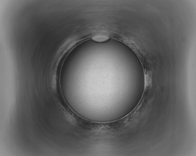 X0000113100243200909041231