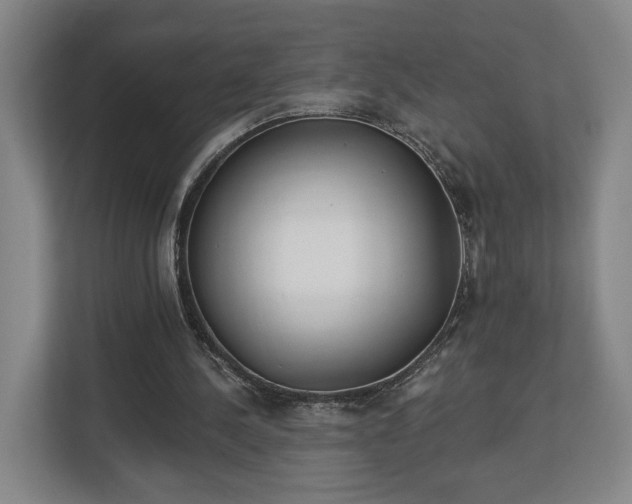 X0000113100244200909041232