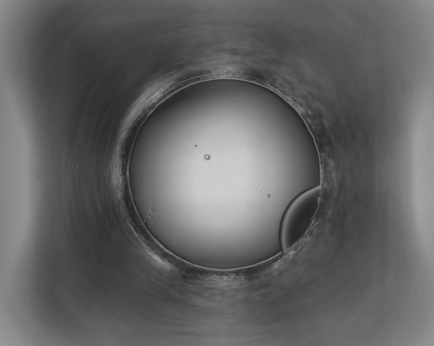 X0000113100245200909041232