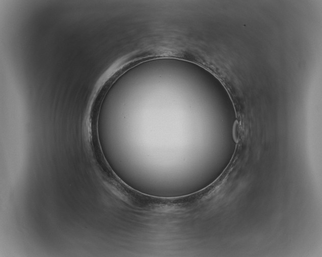 X0000113100246200909041232