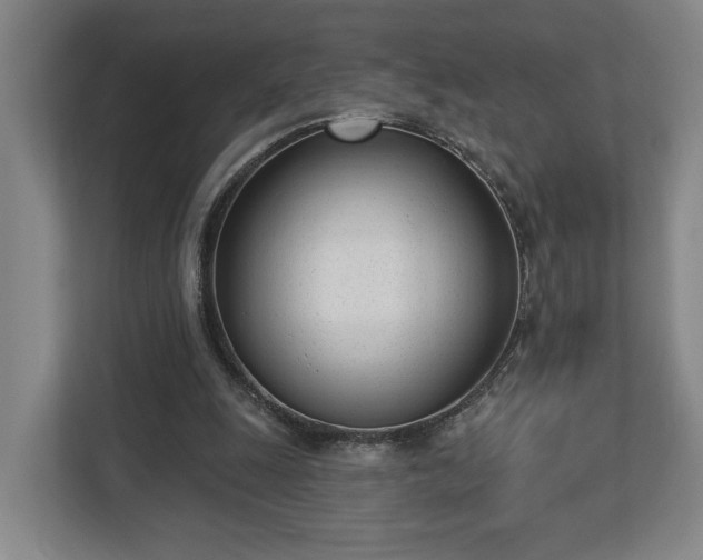 X0000113100247200909041232