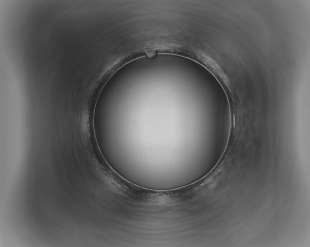 X0000113100249200909041232