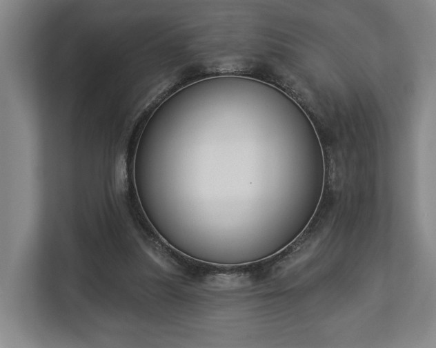 X0000113100251200909041232