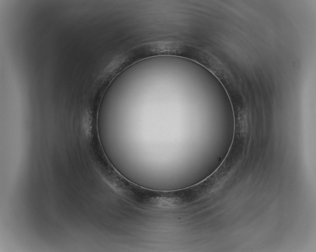X0000113100255200909041232