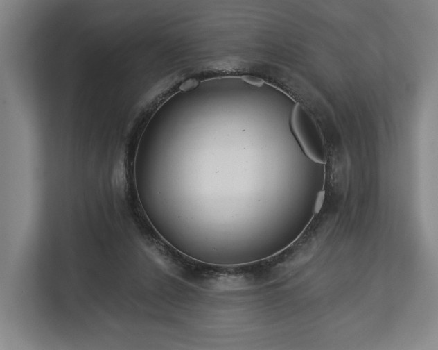 X0000113100256200909041232