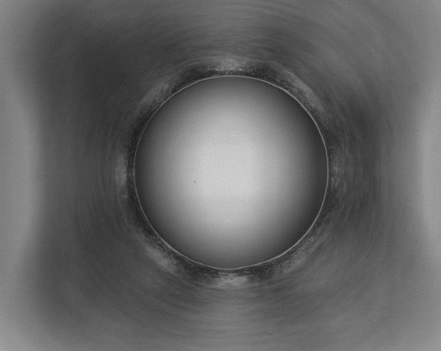 X0000113100257200909041232