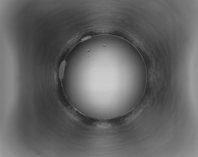 X0000113100258200909041232