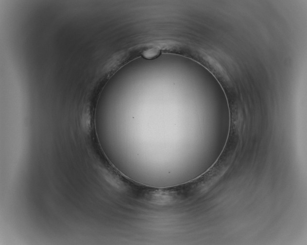 X0000113100261200909041232