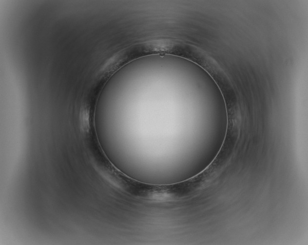 X0000113100262200909041232