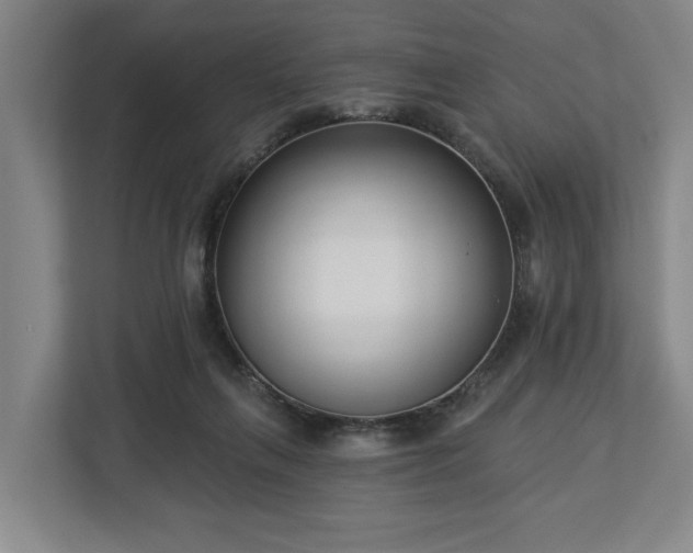 X0000113100263200909041232