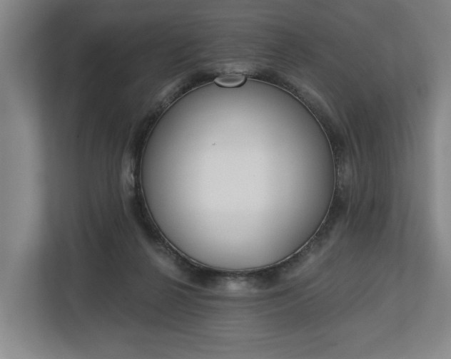 X0000113100264200909041232