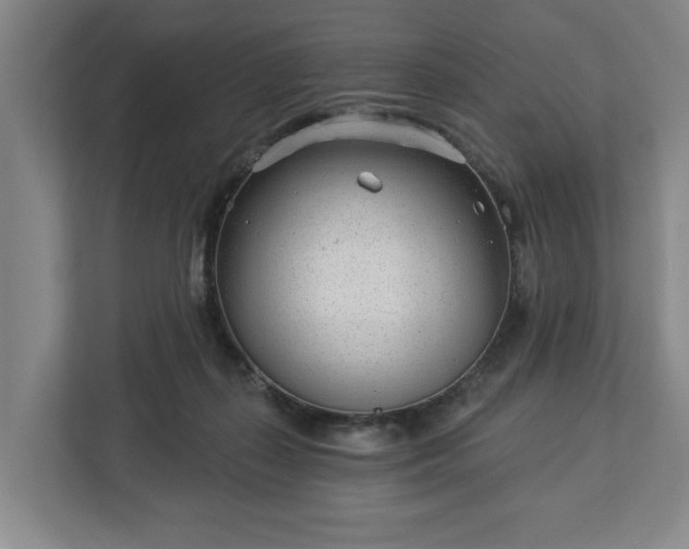 X0000113100267200909041232
