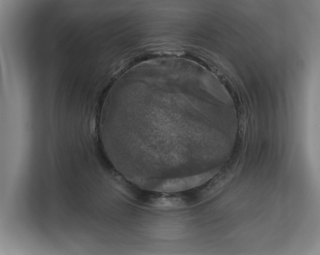 X0000113100270200909041232