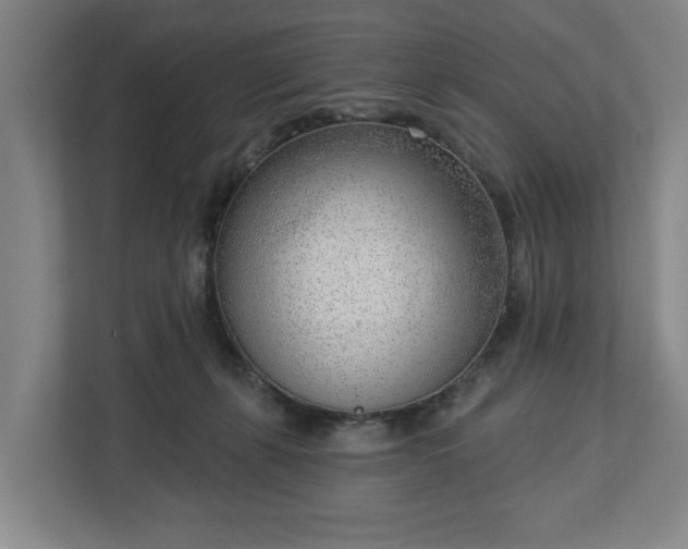 X0000113100271200909041232