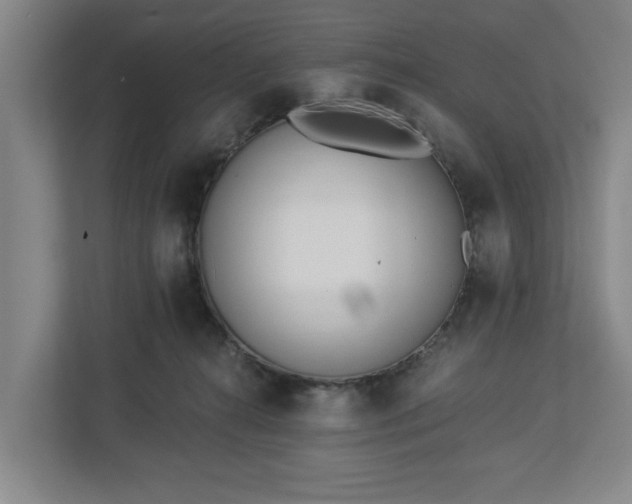 X0000113100272200909041232