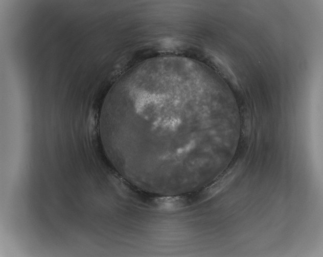 X0000113100273200909041232