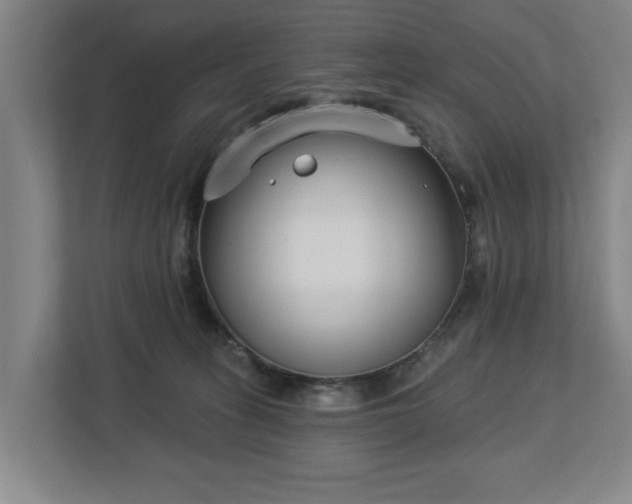 X0000113100275200909041232