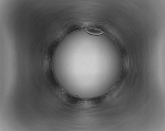 X0000113100276200909041232