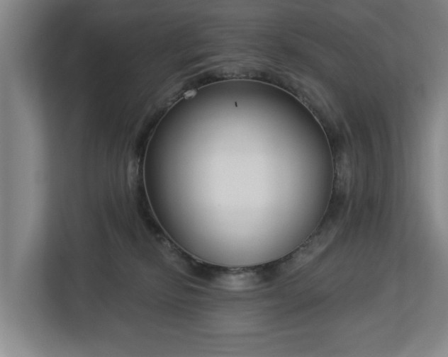 X0000113100278200909041232