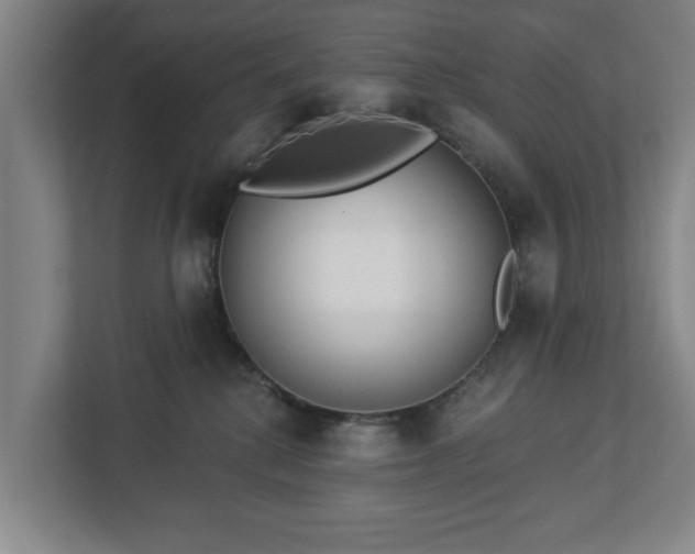 X0000113100280200909041232
