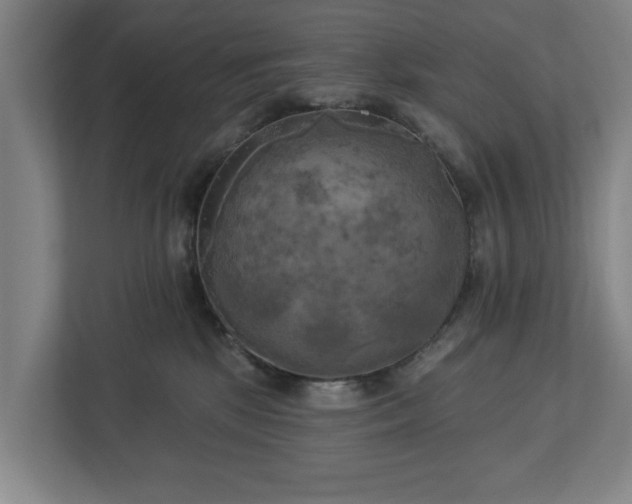 X0000113100281200909041232