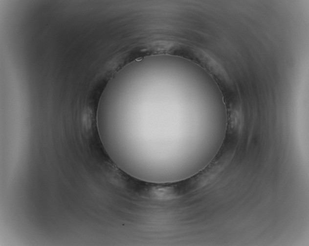 X0000113100283200909041232
