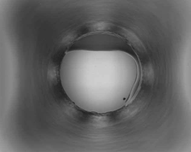 X0000113100284200909041232