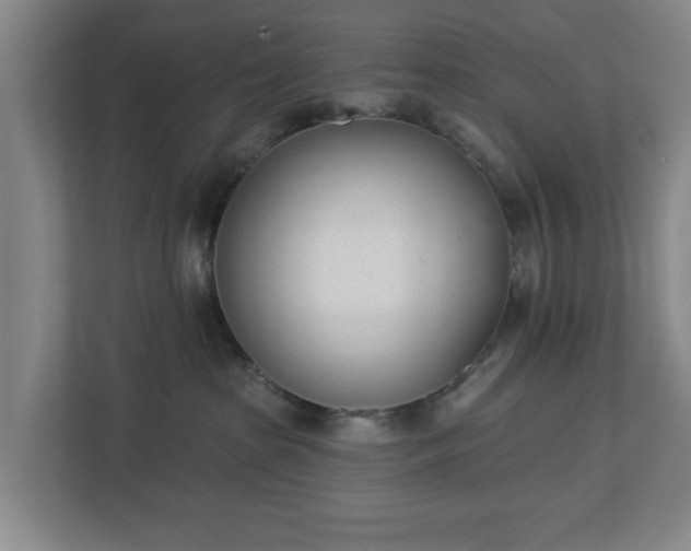 X0000113100285200909041232