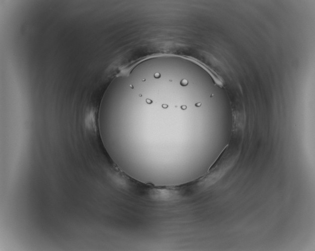 X0000113100286200909041232