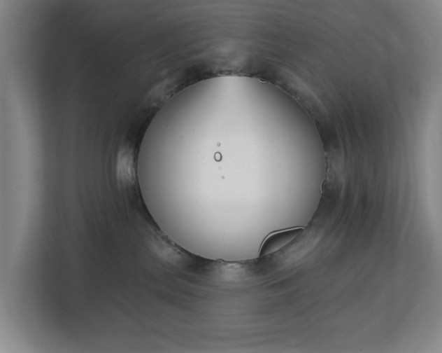 X0000113100287200909041232