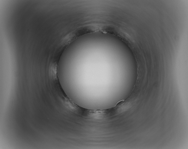 X0000113100288200909041232