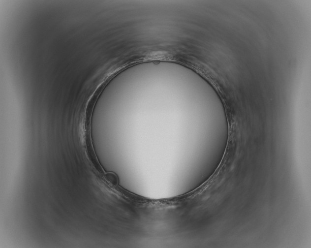 X0000113100290200909041231