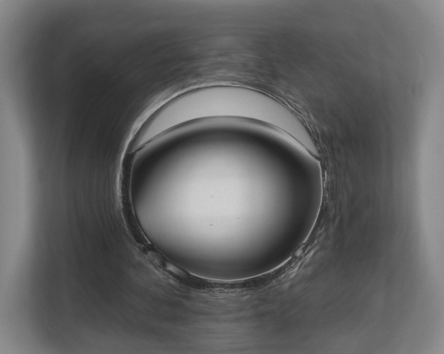 X0000113100292200909041231