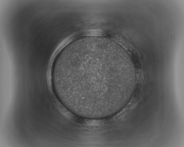 X0000113100293200909041231