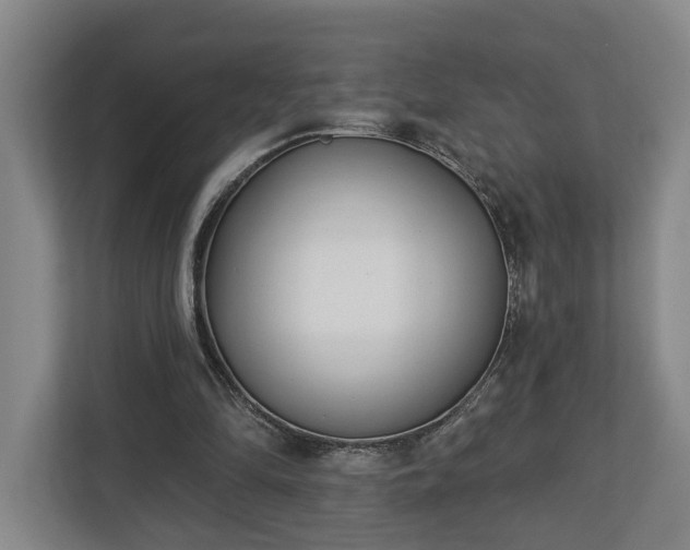 X0000113100294200909041231
