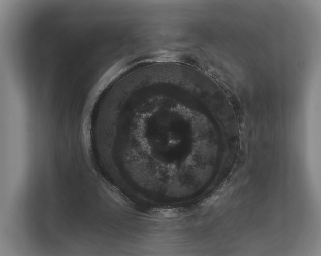 X0000113100295200909041231