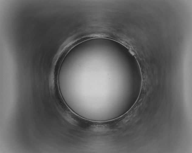 X0000113100296200909041231